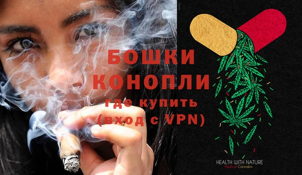 прущие крисы Горняк