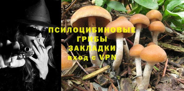 прущие крисы Горняк