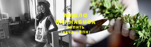 прущие крисы Горняк