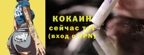 прущие крисы Горняк