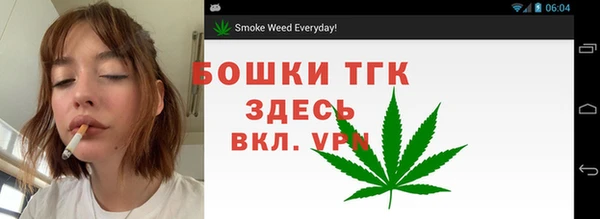 прущие крисы Горняк
