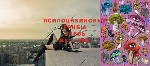 гидропоника Горнозаводск