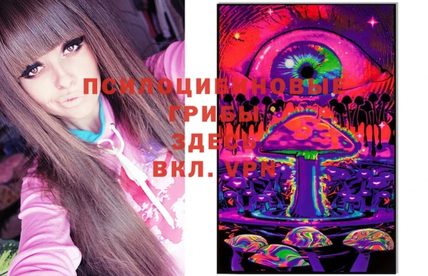 МДПВ Горно-Алтайск