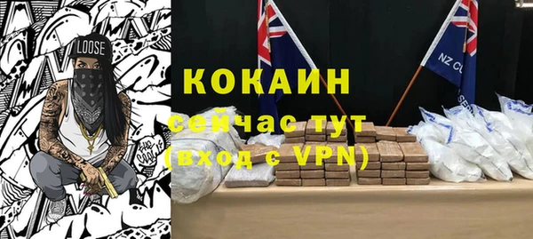 прущие крисы Горняк