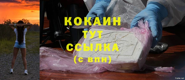 прущие крисы Горняк