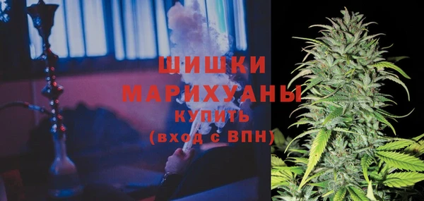 прущие крисы Горняк